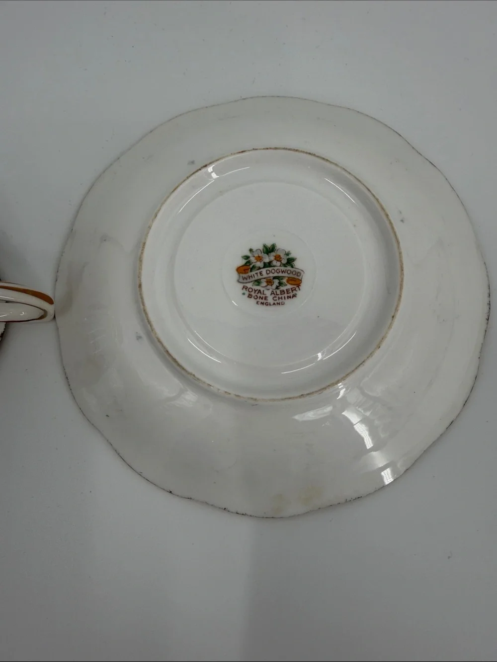 Royal Albert Dogwood Vintage Floral Porcelain Teacup & Saucer Flowers
